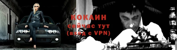 спиды Няндома