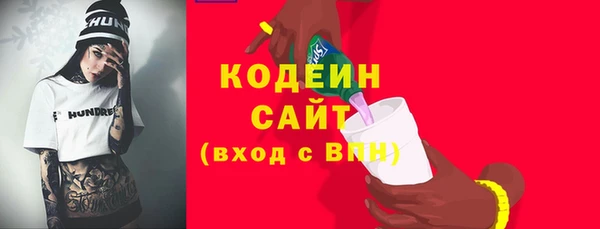 дмт Осинники
