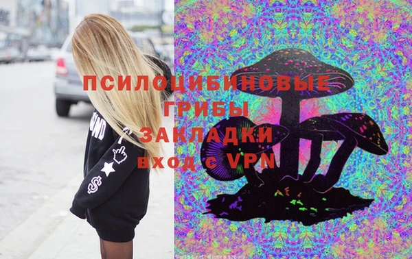 спиды Няндома