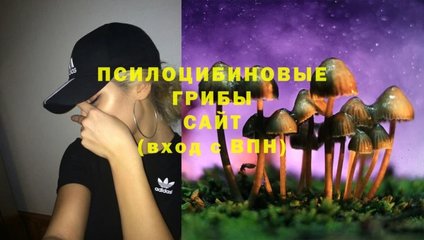 не бодяженный Осташков