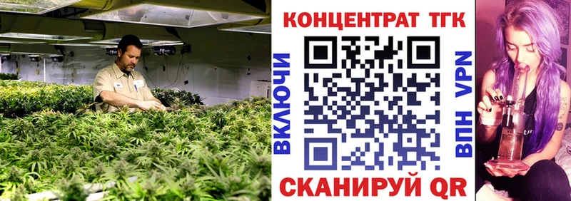 ТГК концентрат  закладки  Белоярский 